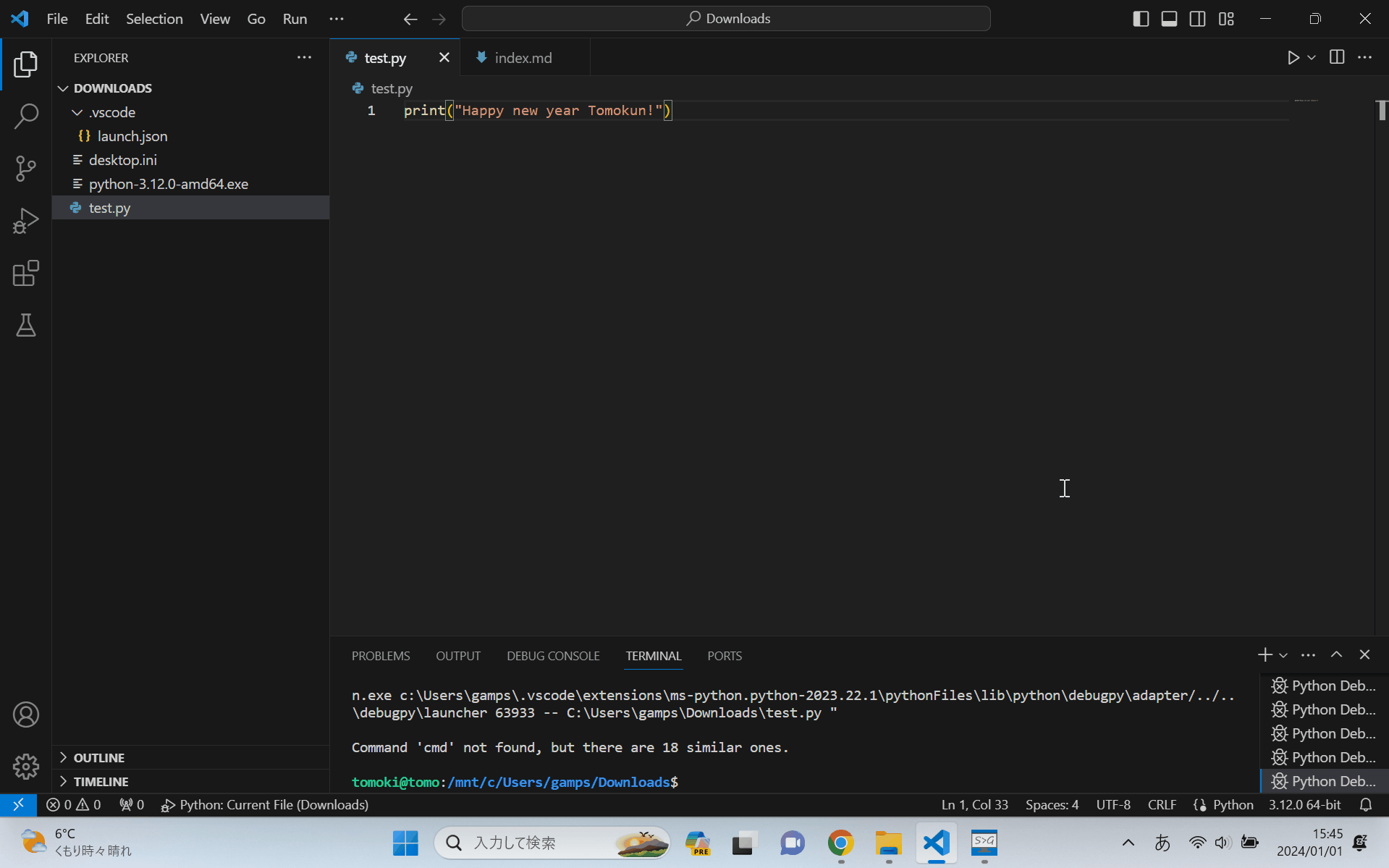 Ubuntu が起動して Python が実行できない...